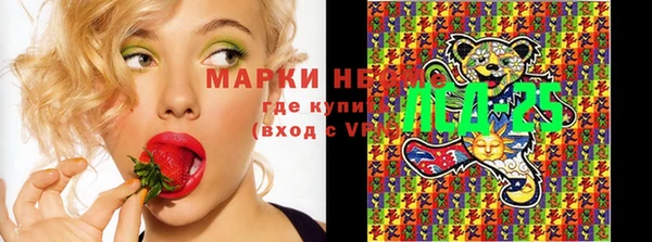 эйфоретик Абинск