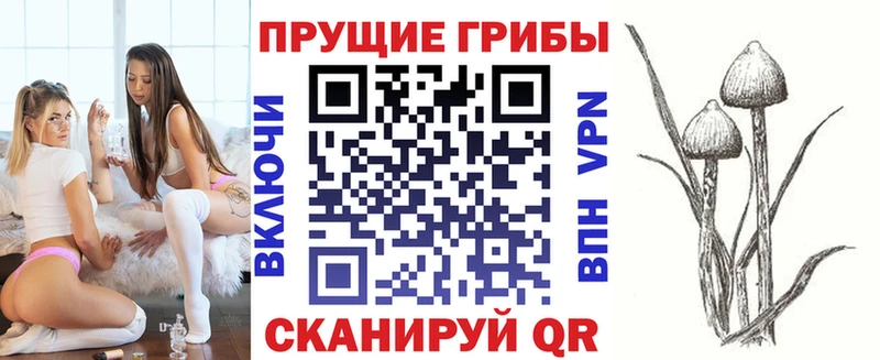 Галлюциногенные грибы GOLDEN TEACHER  Торопец 